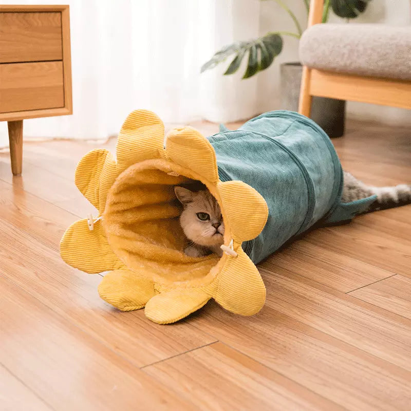 Creative Fruit Funny Pet Cat Tunnel Toys Puppy Ferrets Rabbit Play Dog Tunnel Tubes Toy Tube - Minihomy