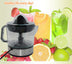 Portable Electric Blender Fruit Lemon Citrus Juicer Multi-function Milkshake Mixer Juice Maker - Minihomy