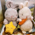 Cute Fluffy Bunny Plushies Stuffed Soft Baby Appease Toy Long Plush Hug Star Carrot Rabbit - Minihomy