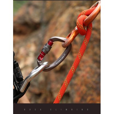 Outdoor Professional Rock Climbing Main Lock Carabiner Small D-Shaped Main Lock - Minihomy