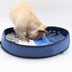 Sniffing Pad For Cats And Dogs - Minihomy