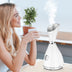 Face Steamer Beauty Steamer Face Water Replenishment Device - Minihomy