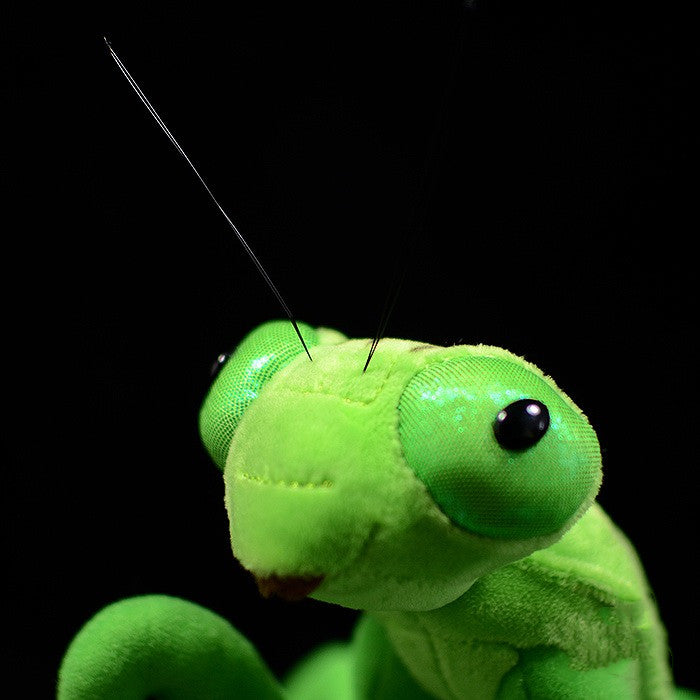 Lifelike Mantis Plush Toys Mantis Stuffed Animals Toy For Kids - Minihomy