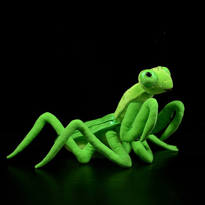 Lifelike Mantis Plush Toys Mantis Stuffed Animals Toy For Kids - Minihomy