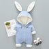 Baby winter clothes jumpsuit - Minihomy