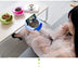 Plastic lazy double dry fruit plate creative fruit plate living room melon box candy storage box - Minihomy