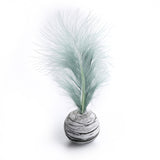 Starry sky ball plus feather cat toy