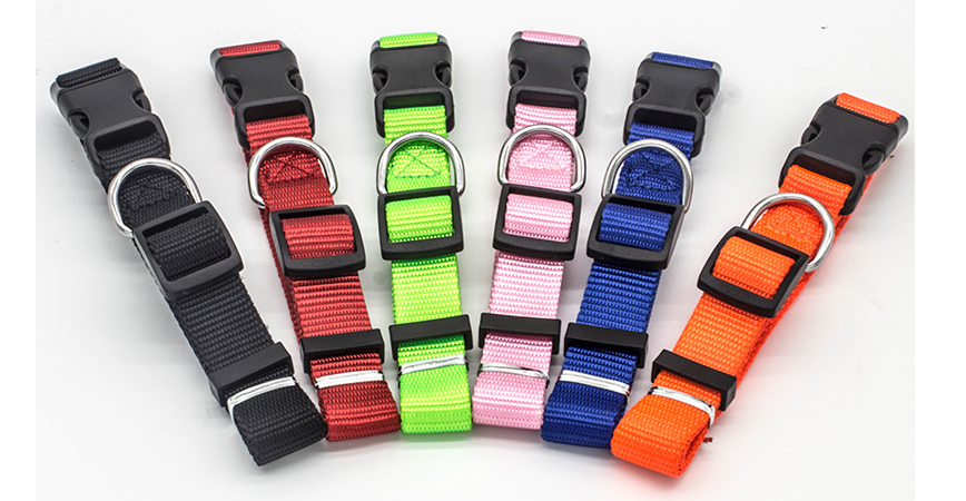 Soft Nylon Pet Collar: Comfortable and Durable