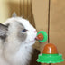 Pet Cat Sugar Energy Ball Lick Toys Catnip - Minihomy