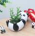 Creative Cartoon Animal Succulent Plant Pot - Minihomy