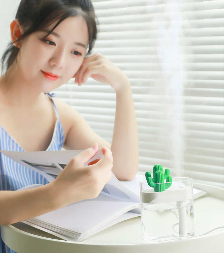 Transparent Cactus Humidifier