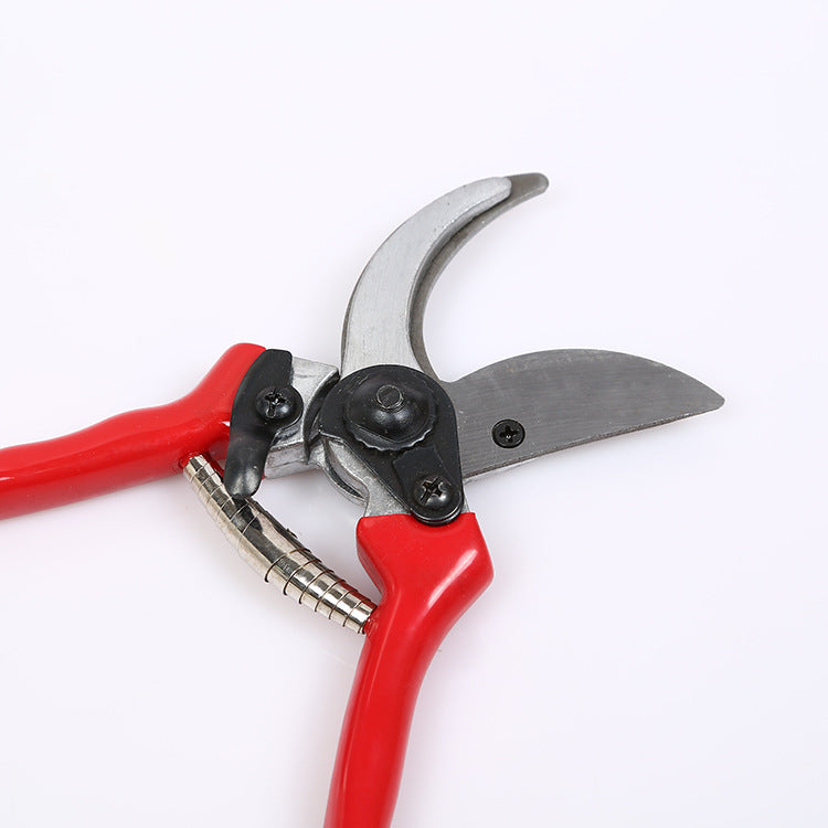 Garden shears - Minihomy