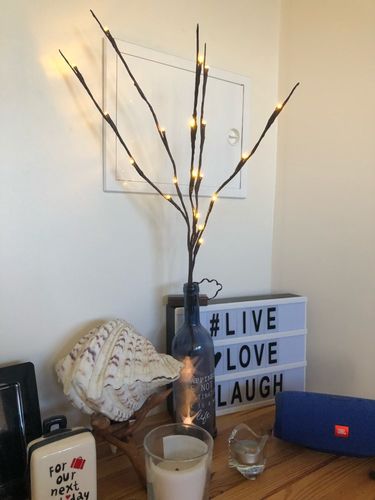 20LED Twigs Light String Decoration Living - Minihomy