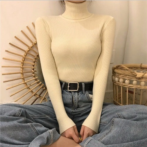 High Collar Warm Long Sleeve Sweater Women - Minihomy