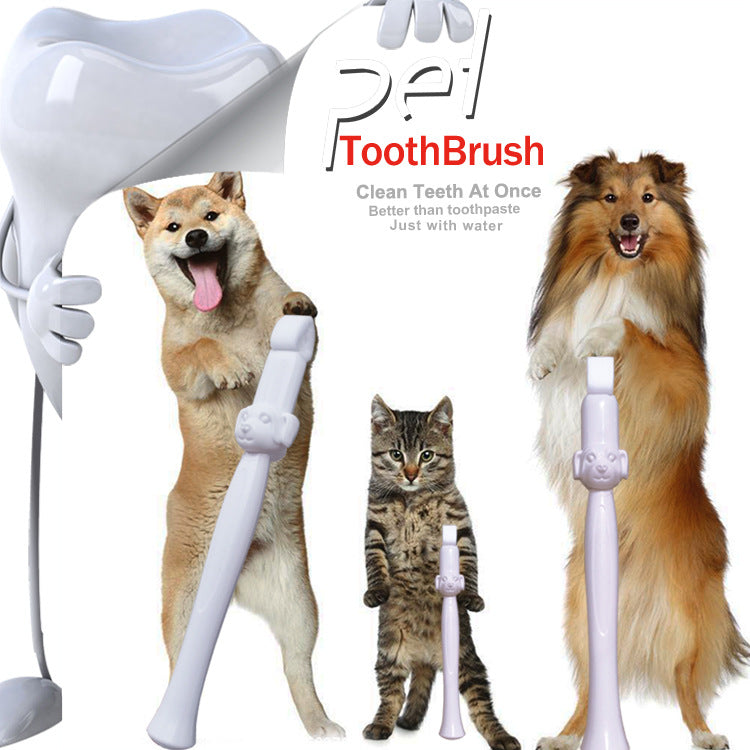 Pet Portable Tooth Cleaning Tool - Minihomy