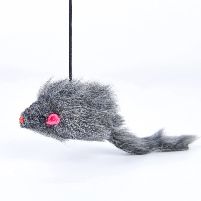 Pet Telescopic Hanging Door Small Mouse Pets Cat Toy - Minihomy