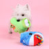 Plush Dog Supplies Pet Dog Teddy Puppies - Minihomy