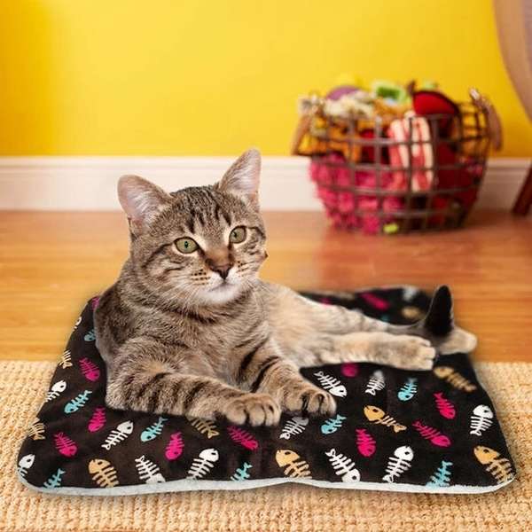 Flannel Material Thick Pet Blanket - Minihomy