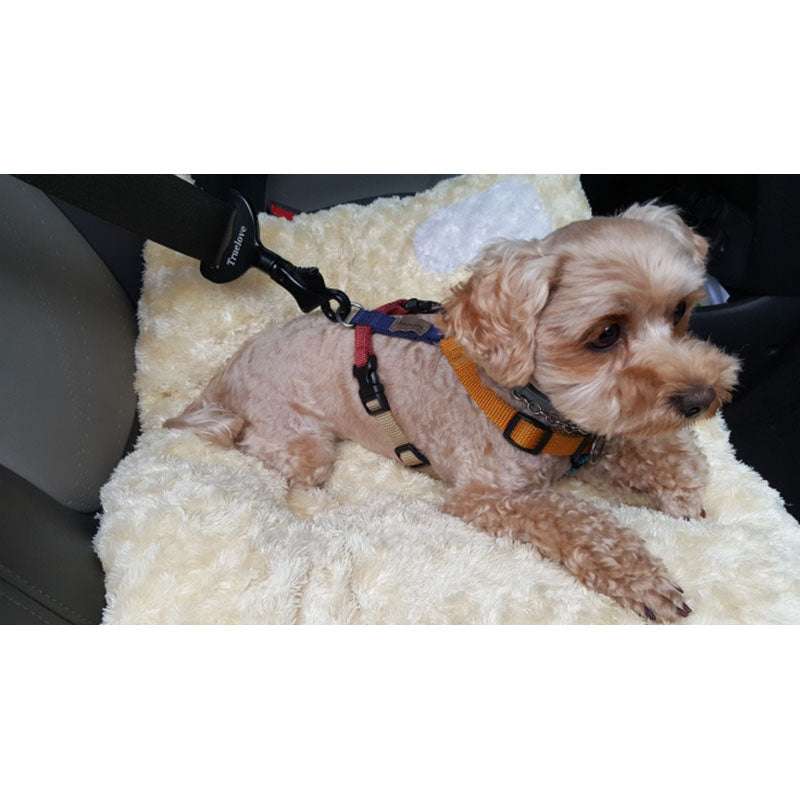 Dog seat belt - Minihomy