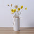 Decorative Creative Ceramic Flowerware Simple And Modern - Minihomy