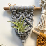 Home Decor Mini Macrame Plant Hangers For Air Plant - Minihomy