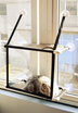 Cat bed cat hammock cat hammock window sill single layer double layer super suction cup cat cushion nest cat litter pet - Minihomy