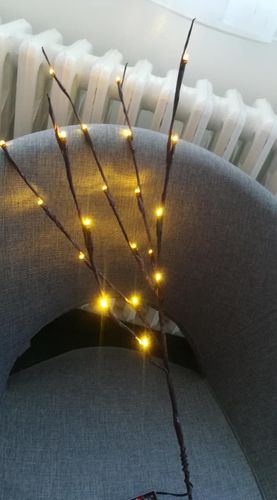 20LED Twigs Light String Decoration Living - Minihomy