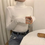 High Collar Warm Long Sleeve Sweater Women - Minihomy