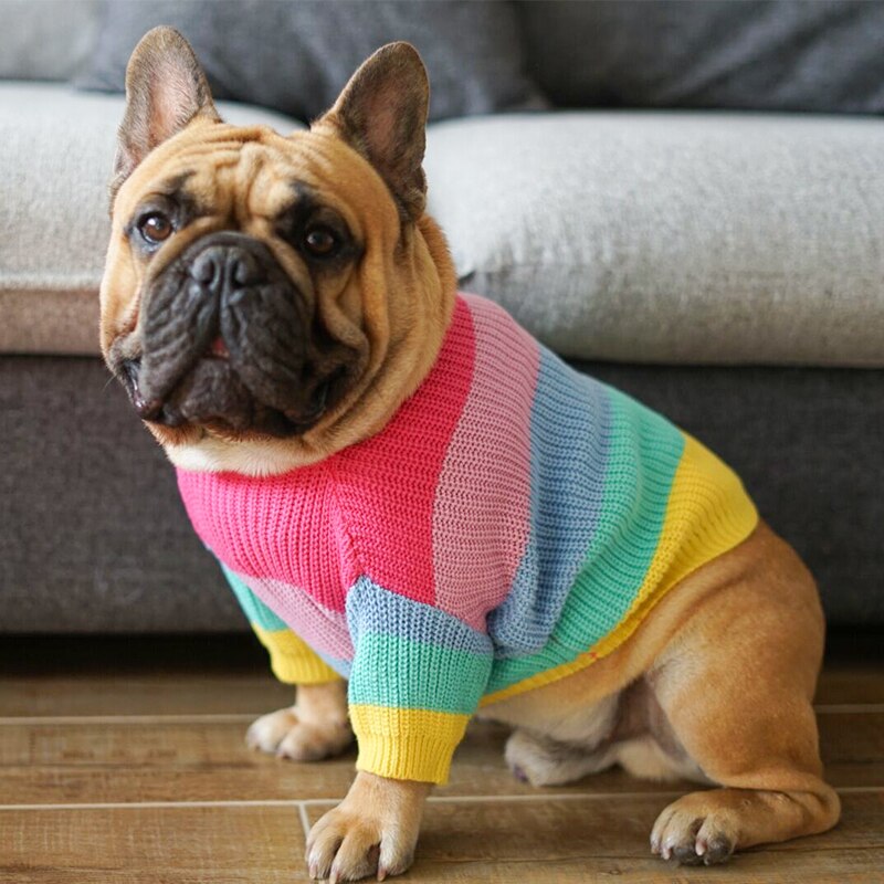 Rainbow Dog Sweater - Minihomy