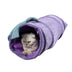 Creative Fruit Funny Pet Cat Tunnel Toys Puppy Ferrets Rabbit Play Dog Tunnel Tubes Toy Tube - Minihomy