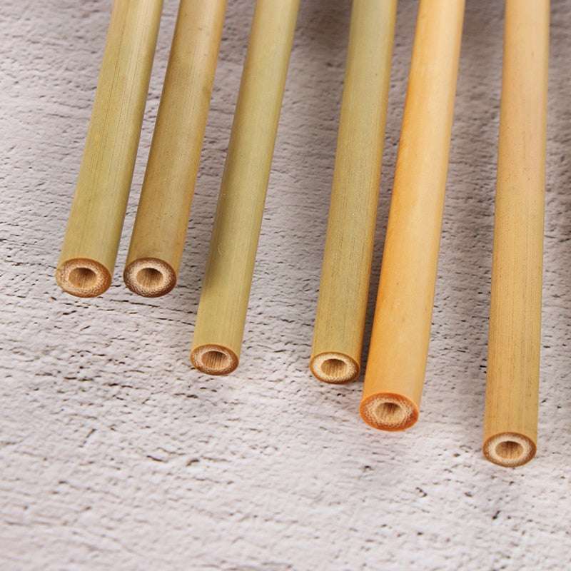 5pcs Natural Bamboo Straws - Minihomy