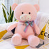 Cartoon Bow Big Bear Plush Toy - Minihomy