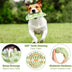 Pet Toy Chew Teeth Stick Dog Toy Ball Bite Resistant Interaction - Minihomy