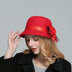 Casual Ladies Big Brim Woolen Hat - Minihomy