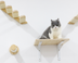 Pine Wood Cat Climbing Frame Cat Wall Hammock Staircase Room Space Capsule Cat Toy - Minihomy