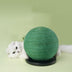 Cat Scratching Ball Board Toy Cactus Shape Scratch Sisal Post - Minihomy