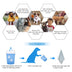 Dog foot washing cup cleaning product cat paw washer - Minihomy