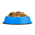 40oz. Blue Stainless Steel Dog Bowl - Minihomy