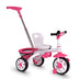 4-in-1 Detachable Baby Stroller Tricycle with Round Canopy - Minihomy