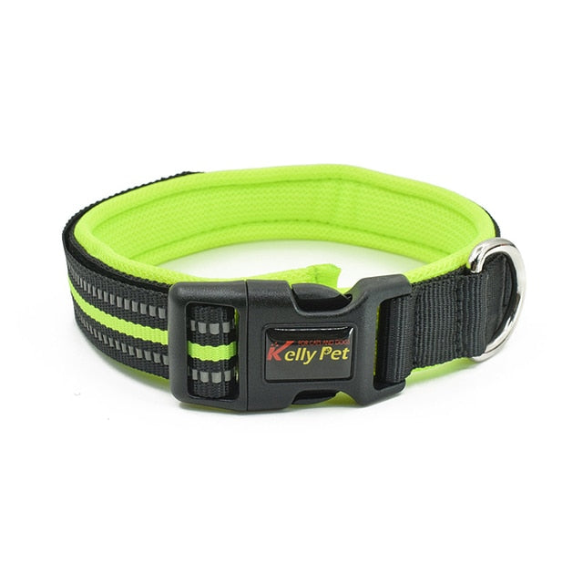 Diving material dog collar dog leash pet accessories - Minihomy