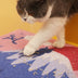 Cat Litter Prevention Cat Litter Box Foot Pad - Minihomy