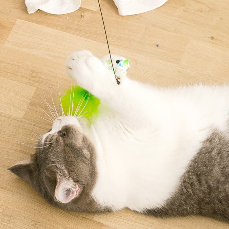 Interactive Cat Toy Funny Simulation Feather for Kitten Playing Teaser Wand - Minihomy