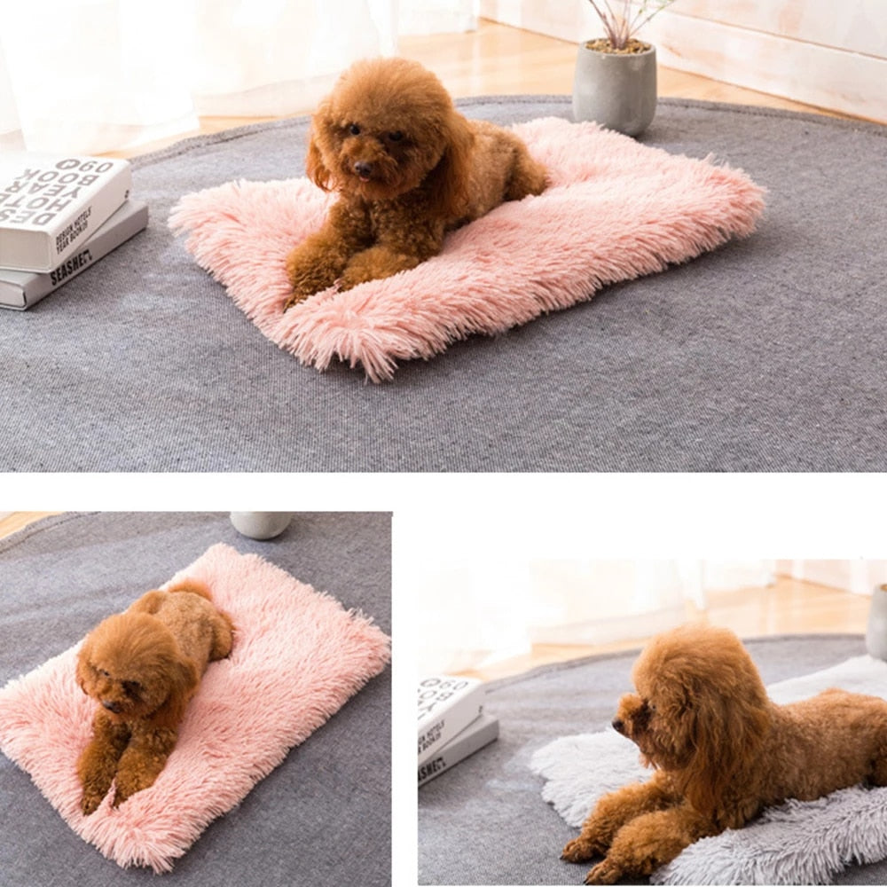 Plush mat double pet blanket - Minihomy