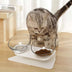 Cat Double Bowl Transparent Non-slip Food Water Bowl Pet Cat Bowls Dog Feeding Bowl - Minihomy