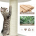 46 Inch Wooden Cat Activity Tree with Platform and Cushionsfor for Cats and Kittens - Minihomy