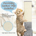 31 inch Tall Cat Scratching Post Claw Scratcher with Sisal Rope and 2 plush Ball-Gray - Minihomy