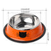 Color stainless steel pet cat bowl - Minihomy