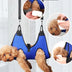 Pet Cat Grooming Hammock Helper Cat Dog Repairing Nails - Minihomy