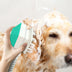 Portable Handheld Splash Shower Pet Dog Cat Shower Spray Hose Tub - Minihomy