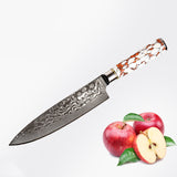 Stainless Steel Lightweight Gift Chef's Knife